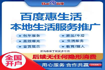 某某SEM团队成功案例：广告投放策略揭秘